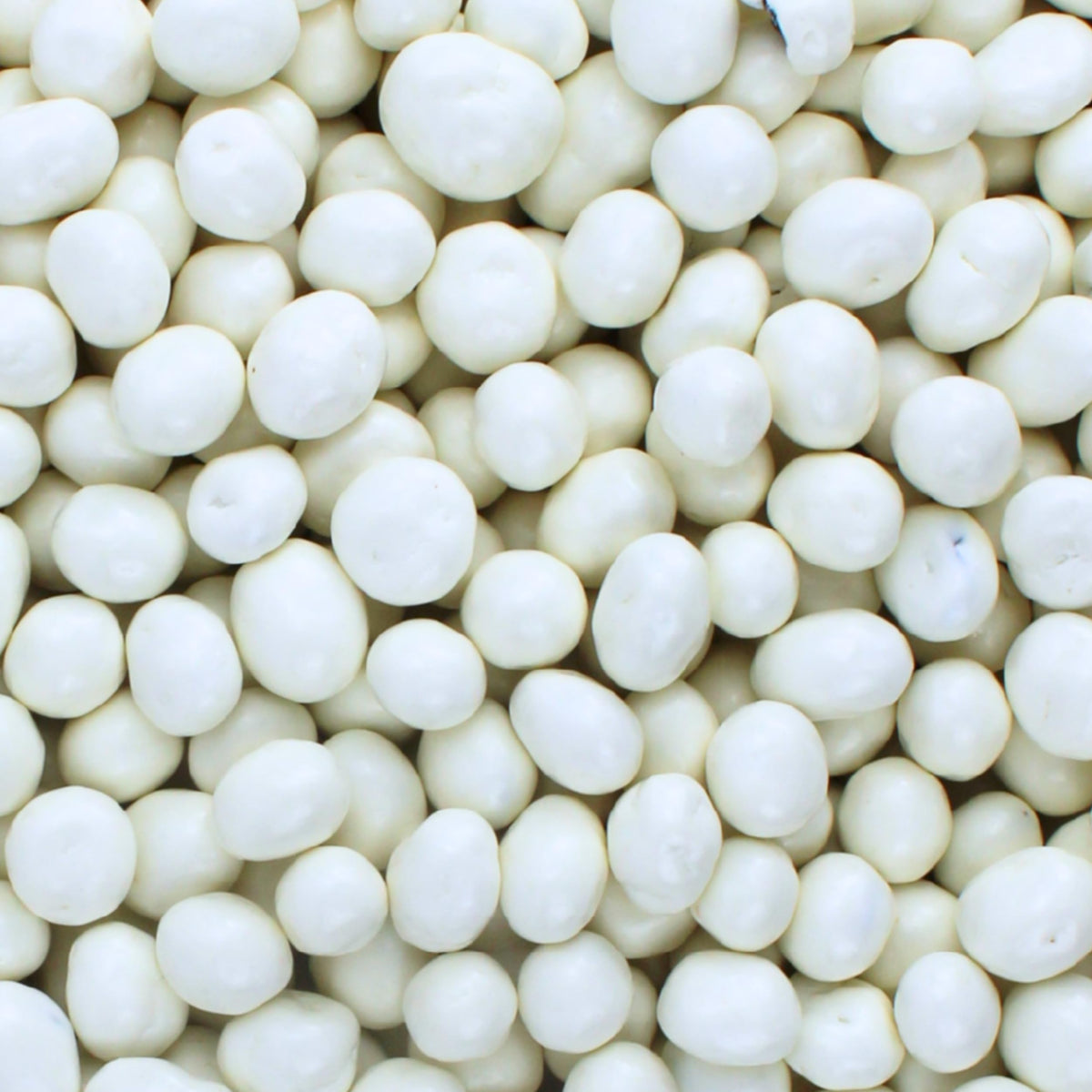 Yogurt and White Chocolate Covered Raisins, Bulk Candy Bag, Plump, 2 lb
