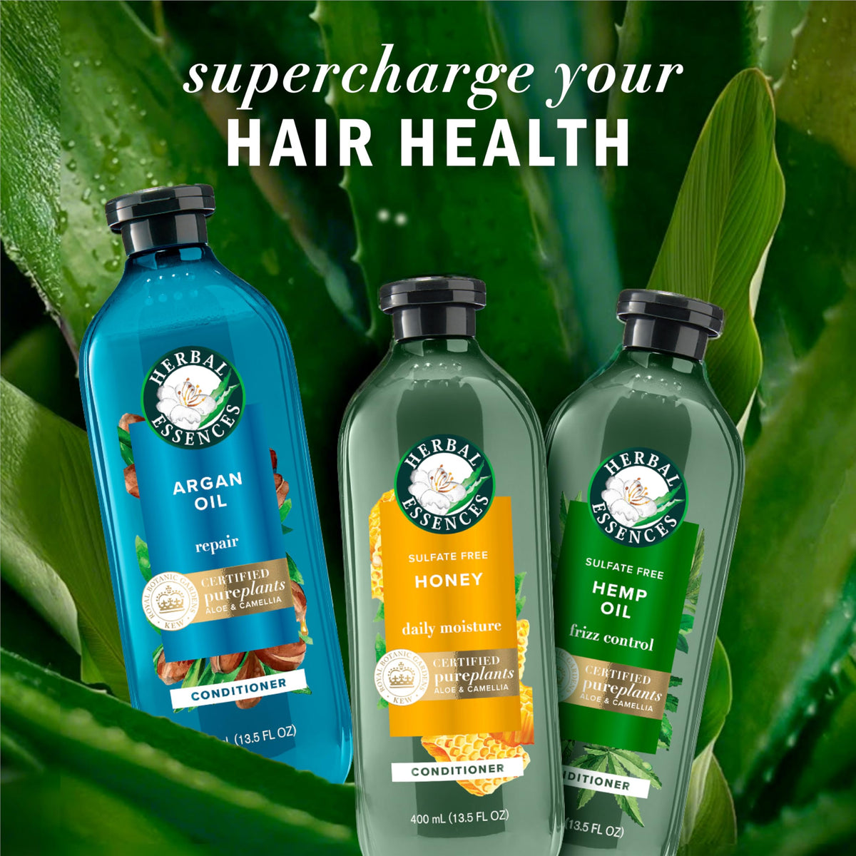 Herbal Essences Argan Oil Paraben Free Shampoo, Hair Repair, 20.2 fl oz, with Certified Camellia Oil and Aloe Vera, For All Hair Types, Especially Damaged Hair
