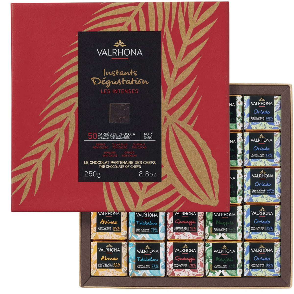 Valrhona Premium 50 Dark Chocolate Squares Gift Box - Abinao 85%, Tulakalum 75%, Guanaja 70%, Manjari 64%, Oriado 60%, Holiday Chocolate Gift, Gourmet