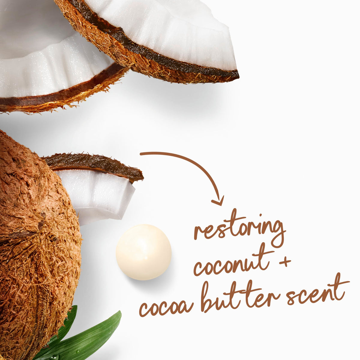Dove Body Wash Restore Coconut & Cocoa Butter 30.6 oz Pump, Sulfate Free
