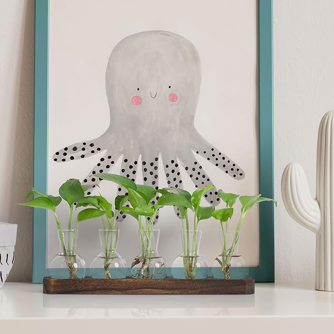 YIBOT Plant Propagation Stations,Glass Propagation Vases for Plants Terrarium with Wooden Tray Plant Lover Gifts for Propagating Hydroponic Plants Home Office Decor(5 Vase)