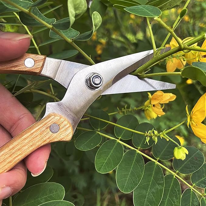 BUGUI Wood Handle Garden Shears, Long Straight Tip, All Steel Construction, Sharp, Well Designed Garden Scissors, 8"