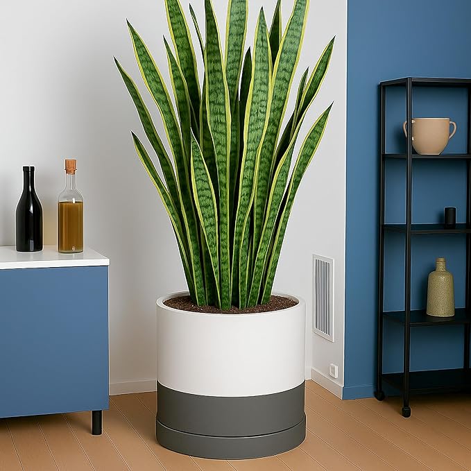 D'vine Dev 14 Inch Ceramic Planter Pot with Drainage Hole and Saucer, Indoor Cylinder Round Planter Pot, White/Speckled Grey, 94-O-G-6