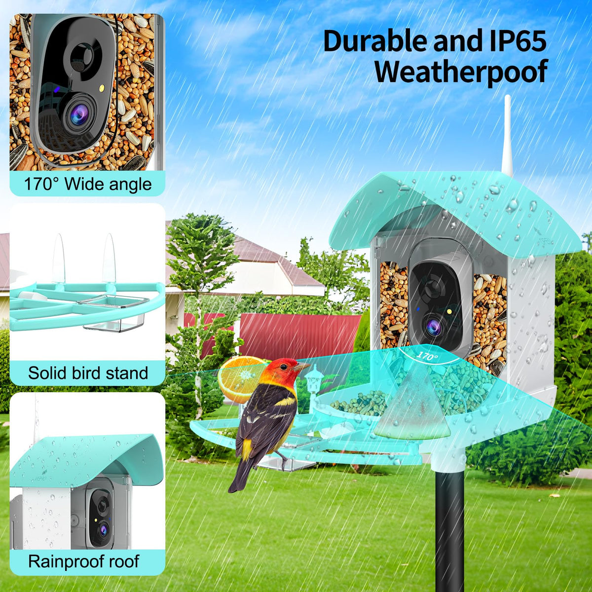 Gyozol Bird Feeder with Camera,WiFi Smart Bird House with Cam Solar Powered