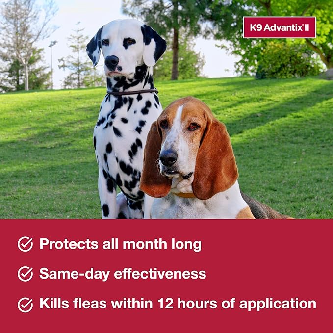 K9 Advantix II Large Dog Vet-Recommended Flea, Tick & Mosquito Treatment & Prevention | Dogs 21-55 lbs. | 6-Mo Supply (Pack of 2)