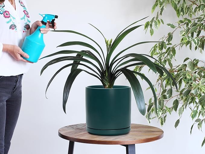 D'vine Dev 6 Inch & 8 Inch Ceramic Planter Pots for Plants with Drainage Hole and Saucer, Medium Plant Pots Set, Teal, 94-G-M-9