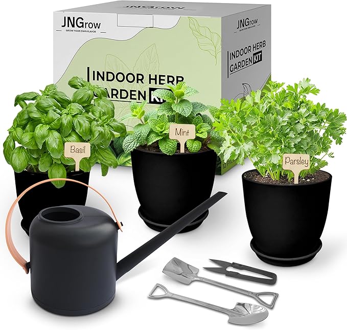 Indoor Garden Kit - Plant Pots with Drainage, Watering Can & Tools - Ideal Windowsill Planter Set - Modern Home & Kitchen Decor Gift - Black