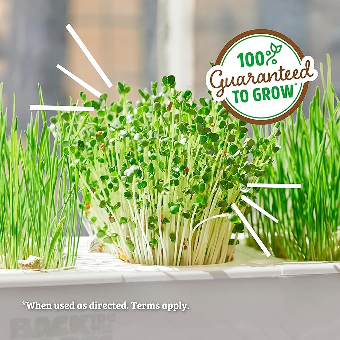 Back to the Roots Indoor Aquaponic Garden - 3 Gallon Self Watering, Mess-Free Planter and Self-Cleaning Fishtank for Herbs, Microgreens, Bamboo, Succulents, and Houseplants, support Fish