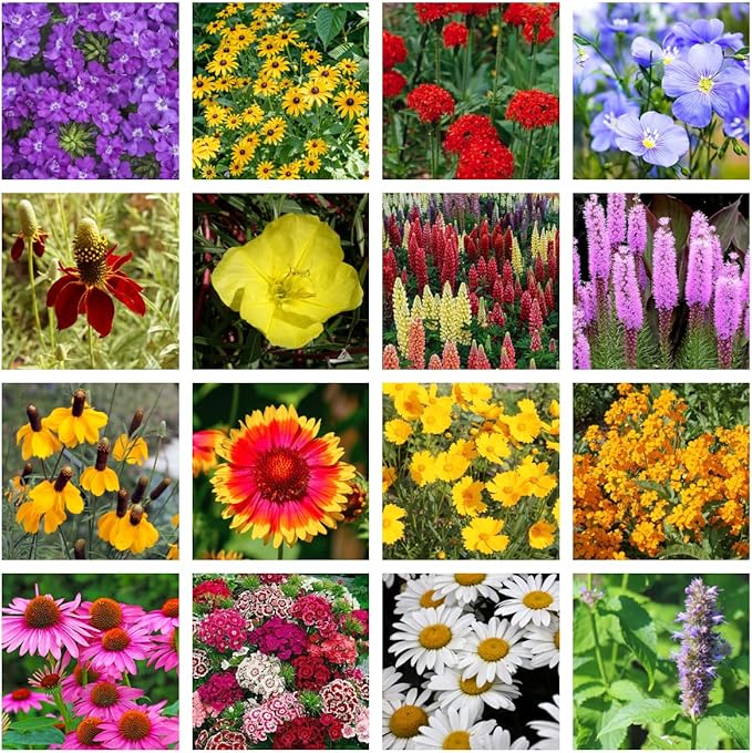 Bulk Wildflower Seed Shaker – Perennial Flower Seeds Mix to Plant Anywhere, by Geva Grow | 20 - Different Type Beautiful Perennial Wildflower Seeds Bulk 900,000+ Seeds, 1 Pound Tub