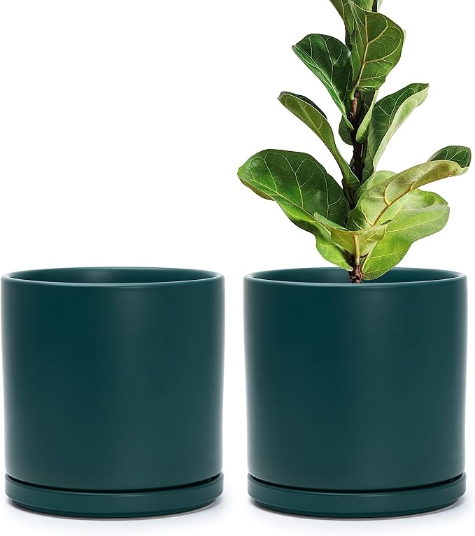 D'vine Dev Set of 2 Plants Pots, 8 Inch Ceramic Planter Pot for Plants with Drainage Hole and Saucer, Teal, 94-V-D-9