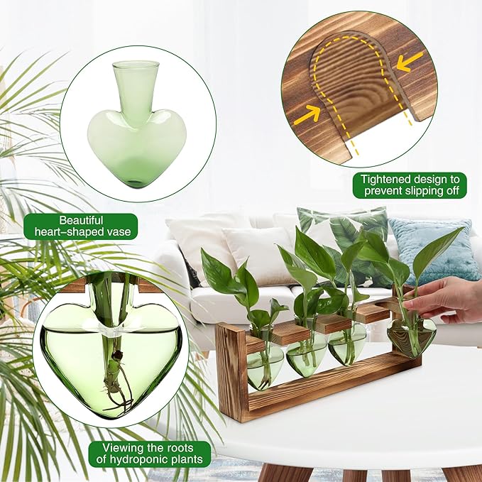 Plant Propagation Stations Heart Plant Terrarium Kit Gift for Women Plant Lover Glass Vases