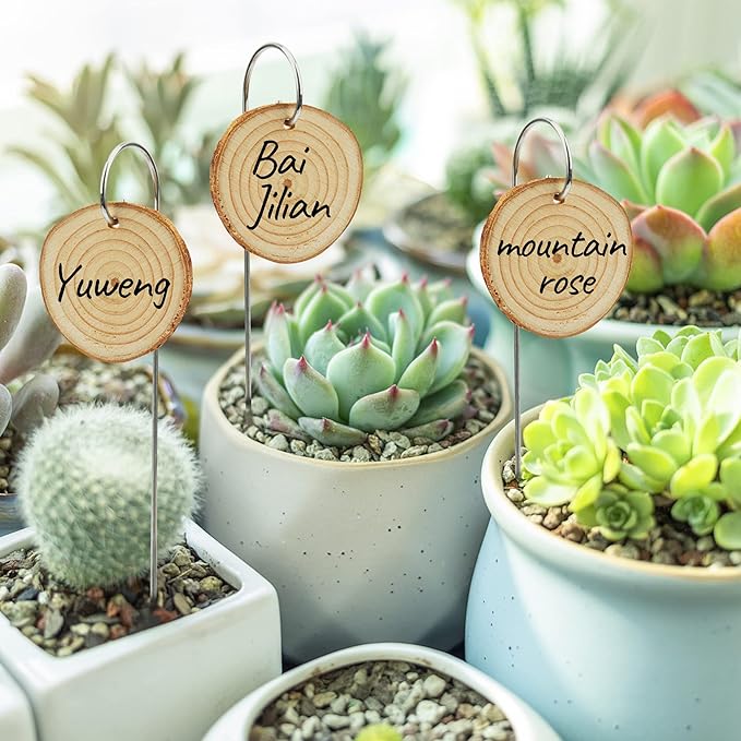 Temlum Wooden Plant Labels with Marker Pen, 25 Pcs Garden Markers Garden Label Stakes Plant Sign Tags for Flowers, Herbs, Potted Plants, Seed