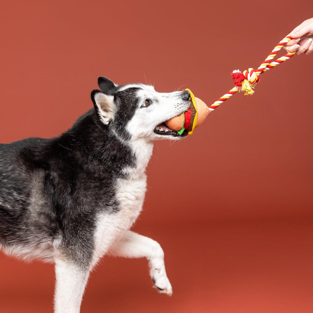 Fringe Studio Plush Dog Toy with Rope, You’RE THE BUN that I Want, Pet Shop Collection (314527)