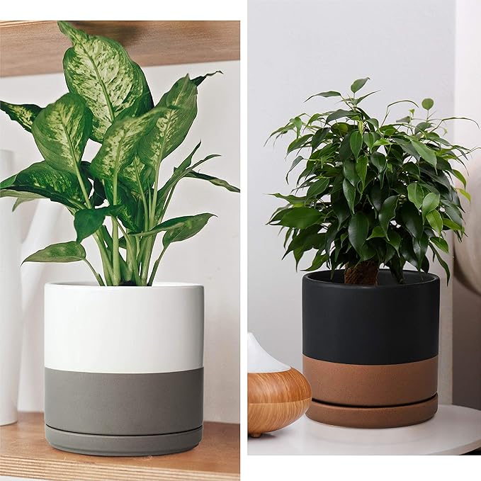 D'vine Dev Set of 2 Plants Pots, 6 Inch Ceramic Planter Pot for Plants with Drainage Hole and Saucer, White-Grey/Black-Tan, 94-V-C-C