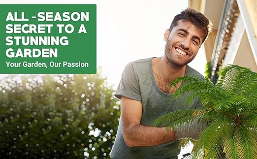 8-4-8 Professional Palm Tree Fertilizer Plant Food; for Indoor Potted Plants and Outdoor Landscape Palm Trees; Quick-Release Nitrogen Fertilizer and Continuous Feeding (4 QUARTS)