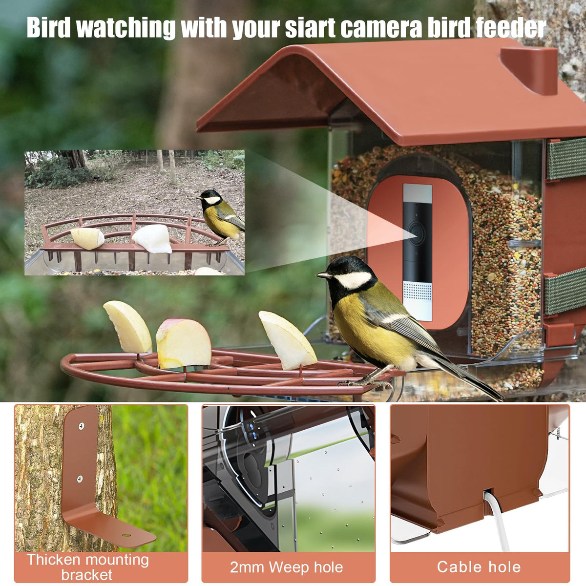 Zivif Smart Bird Feeder for Ring Stick Up Camera Case (Camera Not Included)