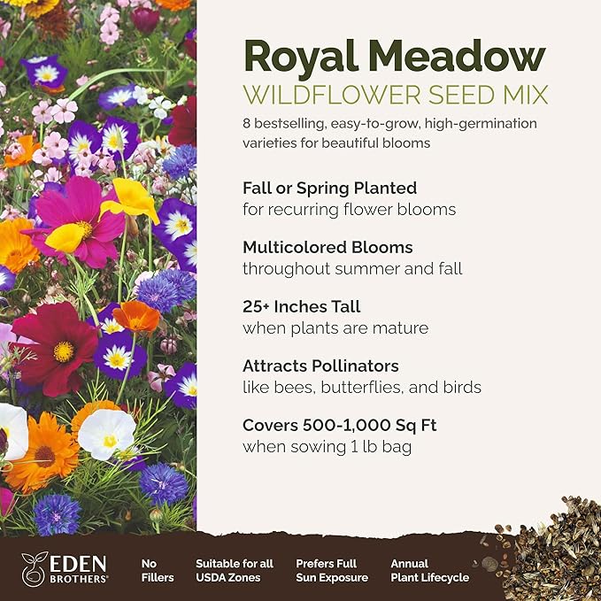 Eden Brothers Royal Meadow Flower Mixed Seeds for Planting, 1 lb, 480,000+ Seeds with Morning Glory, African Daisy | Attracts Pollinators, Plant in Spring or Fall, Zones 3, 4, 5, 6, 7, 8, 9, 10