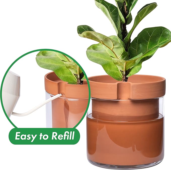 Phoenix Vine 10 Inch Self Watering Planter Pot, Terracotta Clay Pot with Glass Reservoir for Indoor Plants, Herbs, Flowers, Set of 1, 52-A-I-1