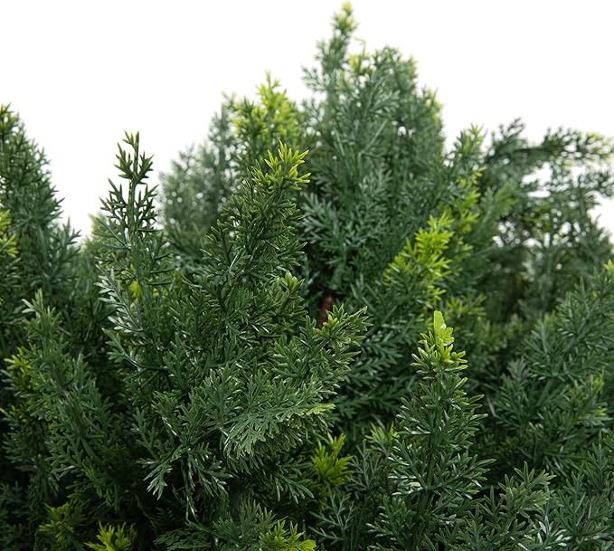 Premium 16" Diameter Artificial Cypress Topiary – Set of 2 Faux Plants with Ground Spikes – UV-Resistant, Realistic Outdoor & Indoor Greenery – Weatherproof Garden Landscaping Décor