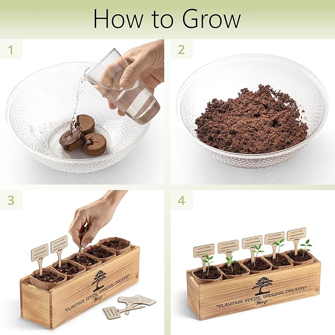Bonsai Tree Kit for Beginners – 5X Unique Japanese Bonzai Trees | Complete Indoor Starter Kit for Growing Plants with Bonsai Seeds, Tools & Planters – Gardening Gifts for Women & Men