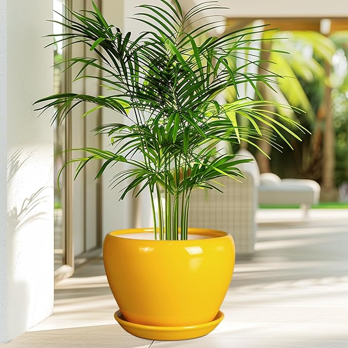 8 Inch Plant Pot - Glaze Modern Round Ceramic Planter for Indoor Outdoor Plants with Drainage Hole and Saucer for Home Patio Room Office Decor, Yellow
