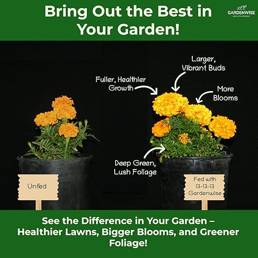 13-13-13 Slow Release Granular Fertilizer – All Purpose Plant Food 13 13 13 for Outdoor Grass, Vegetables, Roses, Flowers, Shrubs, Trees. Lawns, Gardens, Potted Plants (10 quarts)
