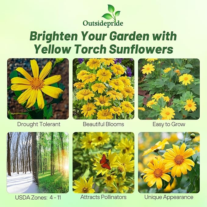Outsidepride Yellow Torch Mexican Sunflower Seeds - 1000 Pcs Annual, Easy-to-Grow, Yellow Tithonia Speciosa Flower Seeds w/Drought-Tolerant Blooms for Pollinator Gardens & Vibrant Summer Landscaping