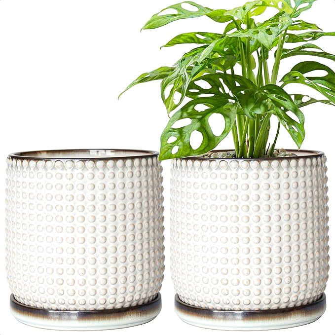 D'vine Dev Set of 2 Ceramic Plants Pots, 6 Inch Beaded Stoneware Flower Pot for Plants with Drainage Hole and Saucer, Smoked White, 27-E-X-1