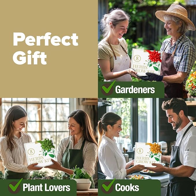HOME GROWN 𝗣𝗥𝗘𝗠𝗜𝗨𝗠 𝗛𝗘𝗥𝗕 𝗞𝗜𝗧 8 Herb Seeds Garden Kit, Complete Indoor Planter Gift with Basil Cilantro Mint & More, Unique Kitchen Growing Set for Women Men, Birthday Housewarming Present