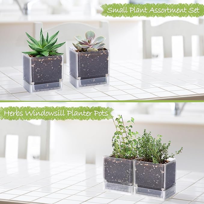 4 Inch Herb Planter Pot, Plastic Planter with Drainage Holes and Saucer, Modern Decorative Gardening Pot for Indoor Plants, Flowers, Herbs, Succulents, Clear, Set of 2, 76-Y-D-2
