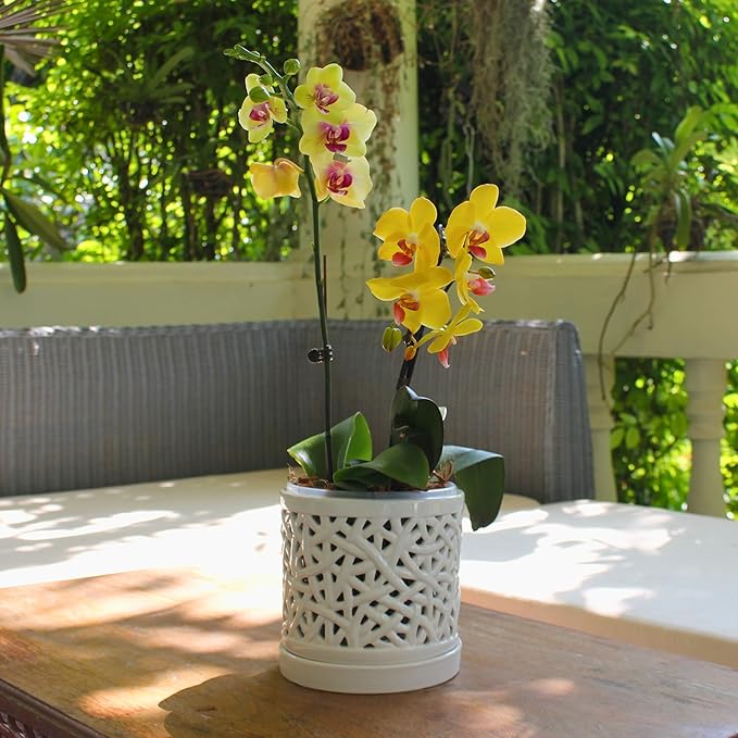 Large Ceramic Orchid Pot with Holes, 6 Inches Wide, for Indoors or Outdoors with Woven String Cut Out Design, Orchid Planters