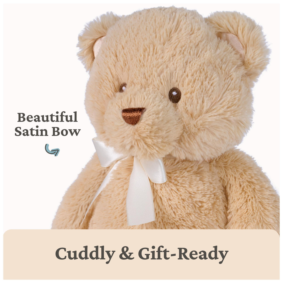 GUND My First Teddy Bear 10-Inch Tan Stuffed Animal for Ages 0+