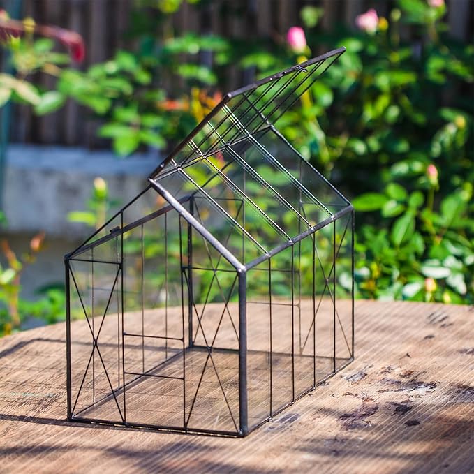 NCYP Geometric Glass Terrarium with Lid for Succulent, Small Cactus - Handmade Clear Closed House Shape Box - Home Indoor Tabletop Garden Decor, Black 9.4" x 5.5" x 7.3" (No Plants)
