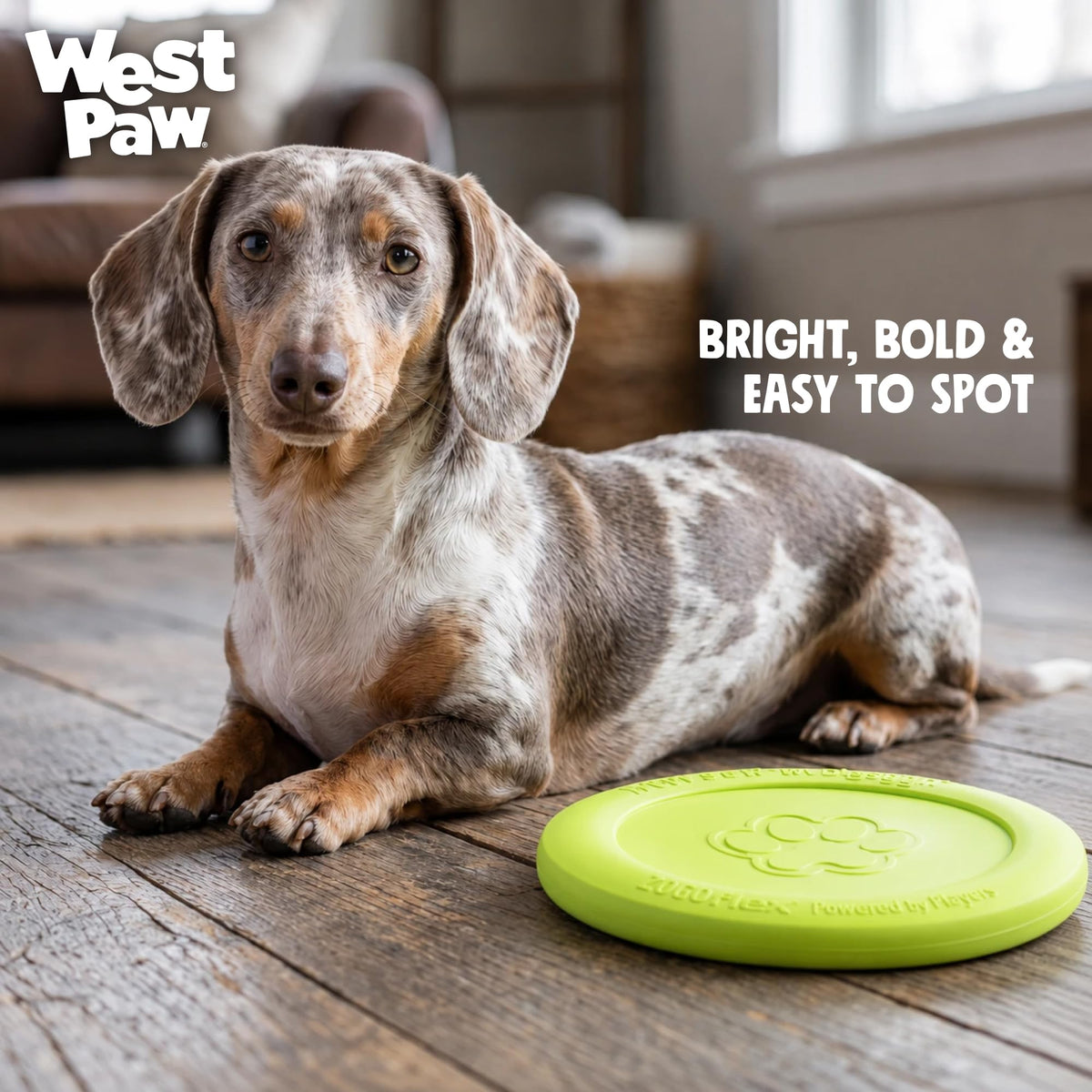WEST PAW Zisc High-Flying Disc Dog Toy, Large - Tangerine
