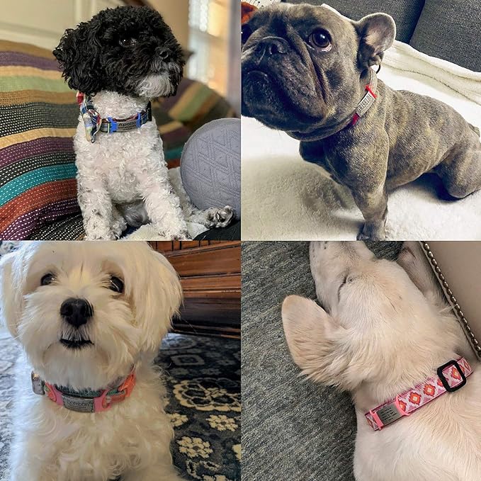 Personalized Dog Name Tag - No Noise - Engraved Slide On Cat ID - Custom Collar Tags for Small to Large Pets - Silent Puppy Identification