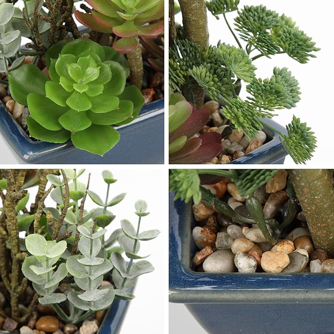 Small Faux Plant Assorted Fake Succulents Plants with Glazed Ceramic Pot Faux Succulents Arrangement Cement Potted Desk Plants Small Fake Plants for Home Table Office Bathroom Shelf Living Room Decor