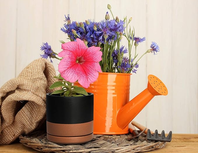 D'vine Dev Ceramic Planter Pot with Drainage Hole and Saucer, Indoor Cylinder Round Flower Pot, 4.6 Inch, Black/Speckled Tan, 94-O-B-7