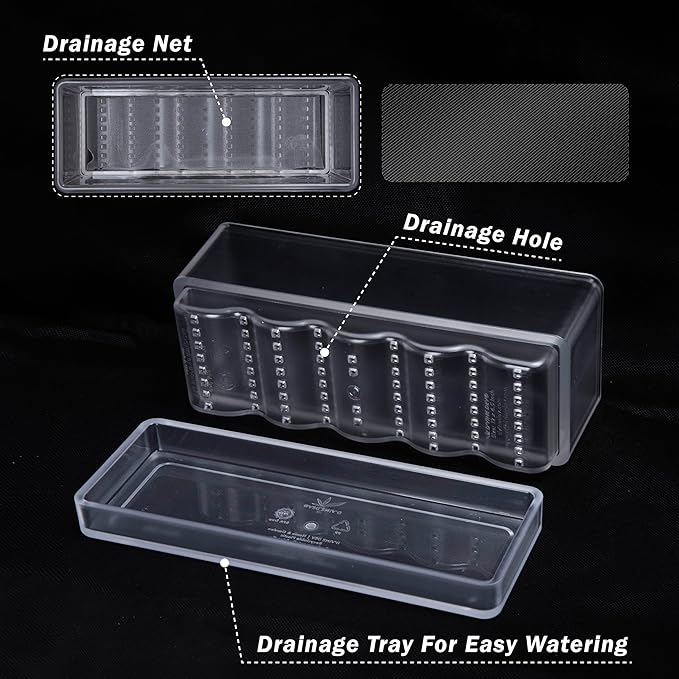 D'vine Dev 12 Inch Window Box Planter, Rectangle Plastic Herb Planter with Drainage Holes and Saucer, Indoor Succulent Cactus Vegetable Pot for Windowsill, Garden Balcony, Clear, Set of 2, 76-X-D-2