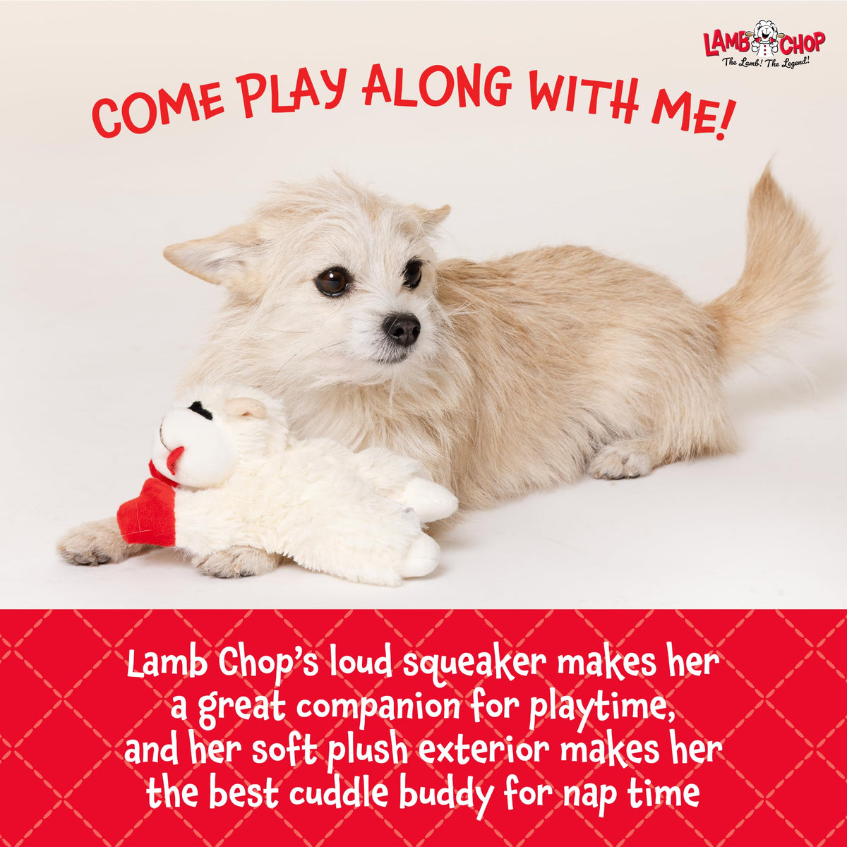 Multipet Lamb Chop Dog Plush Toy - Squeaky Toy
