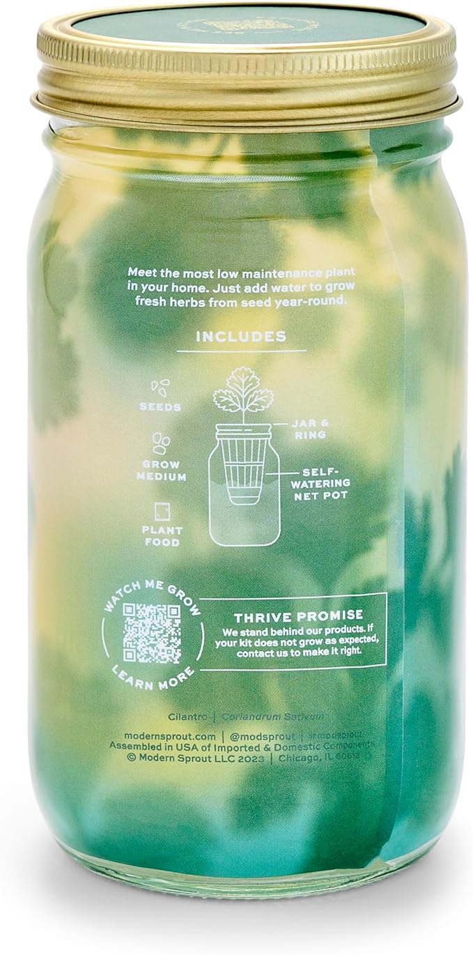 Modern Sprout Mason Garden Jar - Self-Watering Hydroponics Growing System Kit with Organic Herb Seeds - Jar Planter for Indoor Herb Garden - Seed Starter Kit - Home Decor & Gifting - Cilantro