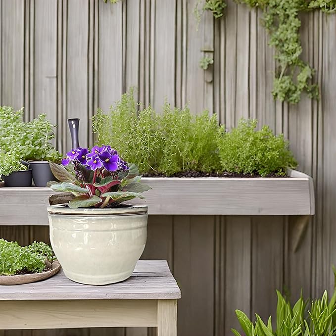 African Violet Pots Self Watering Round Ceramic Violet Pot (White, 6 inch)