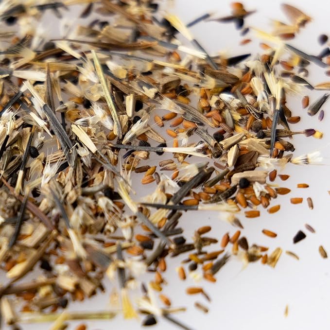 Wildflower Seeds Bulk – National Wildflower Seed Collection – Perennial Wildflowers Mix – Flower Seeds for Planting – Wild Flowers (Save The Monarchs)