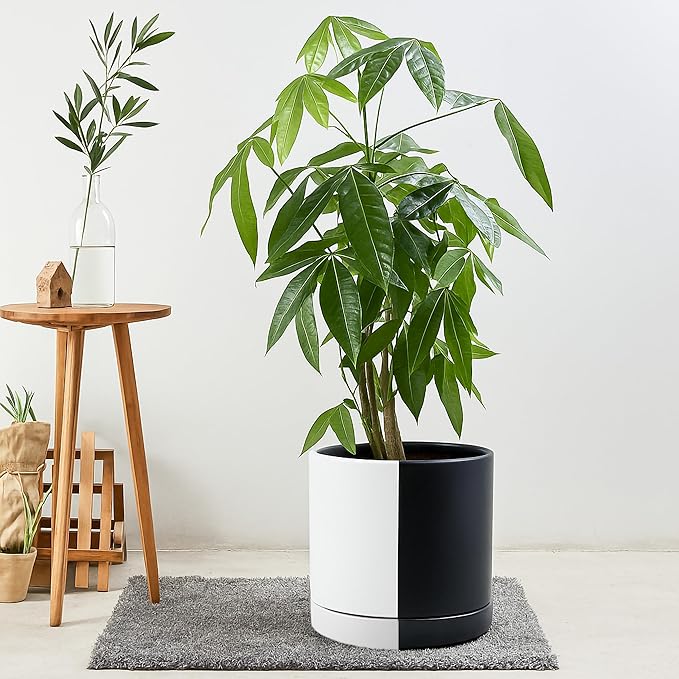 D'vine Dev 10 Inch Ceramic Planter Pot with Drainage Hole and Saucer, Indoor Cylinder Round Planter Pot, Split Monochrome Black & White, 94-O-E-0