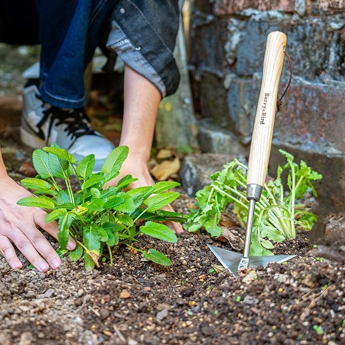 Berry&Bird Triangle Hand Hoe, 15.2'' Winged Weeder Garden Hoes with Short Wood Handle, Gardener Stainless Steel Warren Hoe, Garden Weeder Hoe Tool for Quickly Weeding, Edging and Gardening Tools
