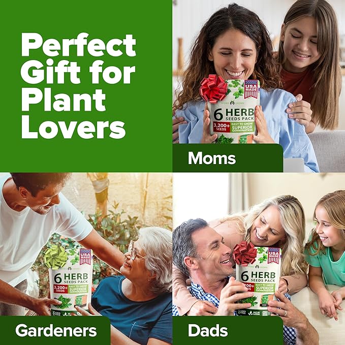 HOME GROWN 6 Herb Seeds for Planting 3,200+ Non-GMO Heirloom Seeds | Extra Large Variety Pack Herb Kit – Indoor Outdoor & Hydroponic | Culinary Seed Set | Grow Your Own Herbs | Gift for Beginners