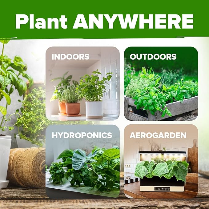 HOME GROWN 25 Herb Seeds for Planting 8,700+ Non-GMO Heirloom Seeds | Extra Large Variety Pack Herb Kit – Indoor Outdoor & Hydroponic | Culinary Seed Set | Grow Your Own Herbs | Gardening Gift