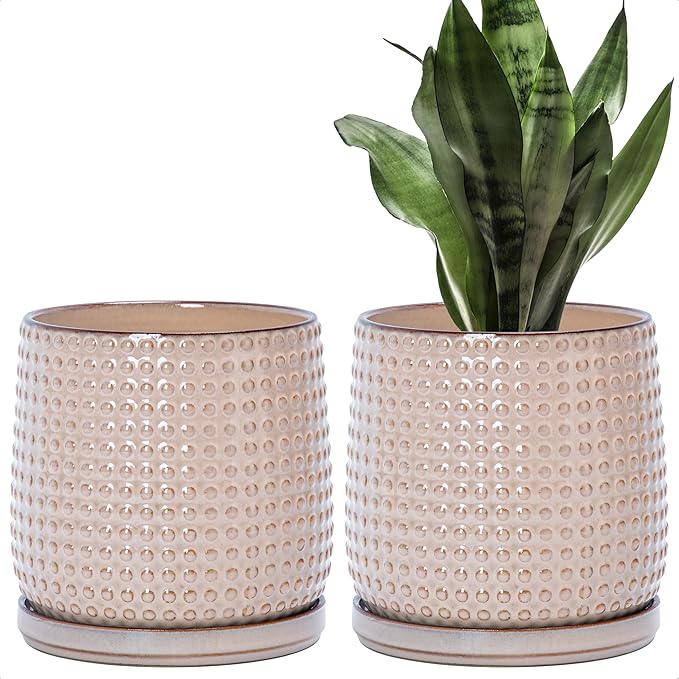 D'vine Dev Set of 2 Ceramic Plants Pots, 6 Inch Beaded Stoneware Flower Pot for Plants with Drainage Hole and Saucer, Light Brown, 27-E-X-4
