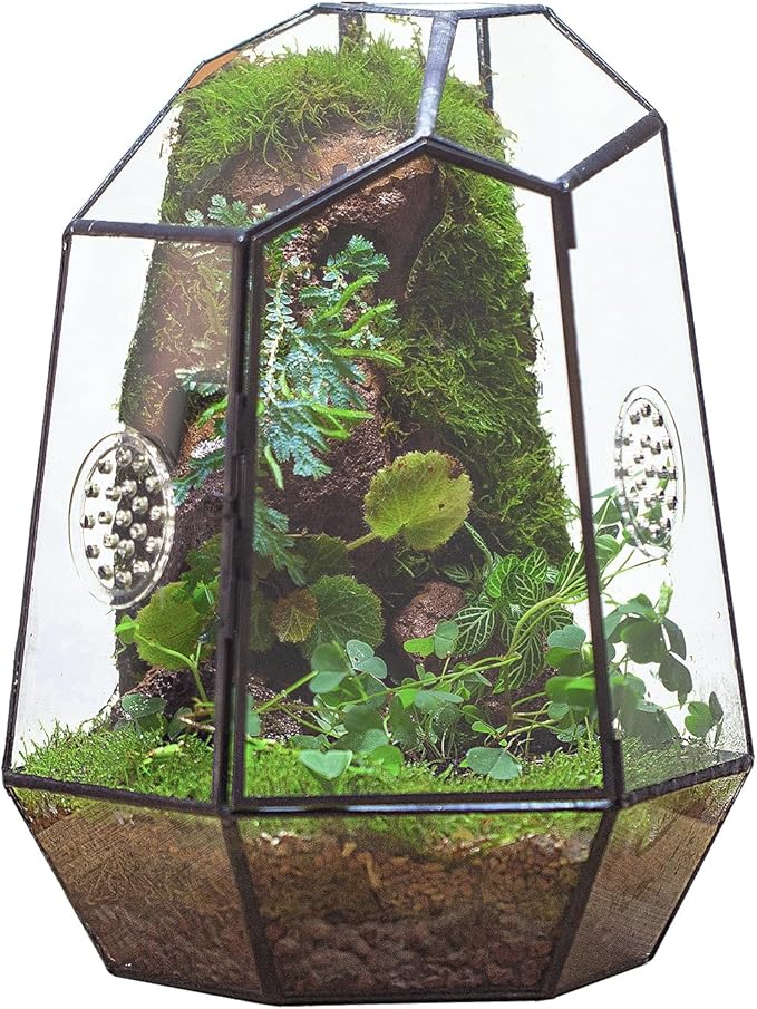 NCYP Closed Geometric Glass Enclosure with Front Opening Door & 2 Vent Holes for Insects, Succulent, Cacti - 7.9"x6.9"x9.8" Black Irregular Terrarium Planter - Home Garden Tabletop Decor (No Plants)