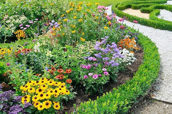 10000+ Perennial Mix Wildflower Seeds 16 Assorted Varieties of Heirloom Flower -1oz Zinnia Poppy Crimson Clover Milkweed Lupine Marigold Mexican Hat Sage Nasturtium