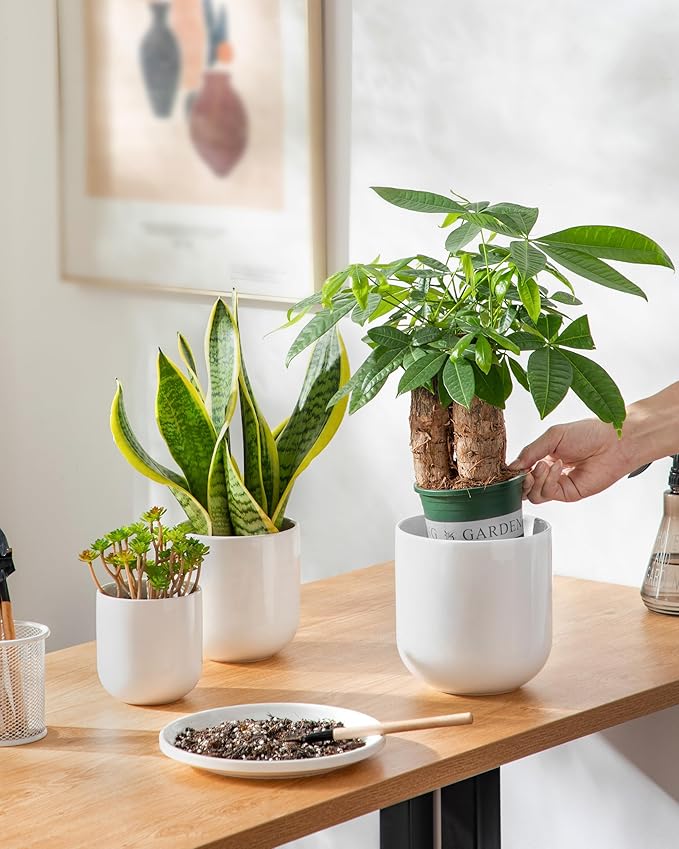 vancasso Ceramic Plant Pots, 4+5+6 inches, Set of 3, Planters with Drainage Hole, Flower Pots Planters Pots for Indoor Plants, Modern Indoor Decorative Garden Pot, Home Decor, White